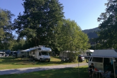 Camping Alpirsbach / Uitzicht over de camping